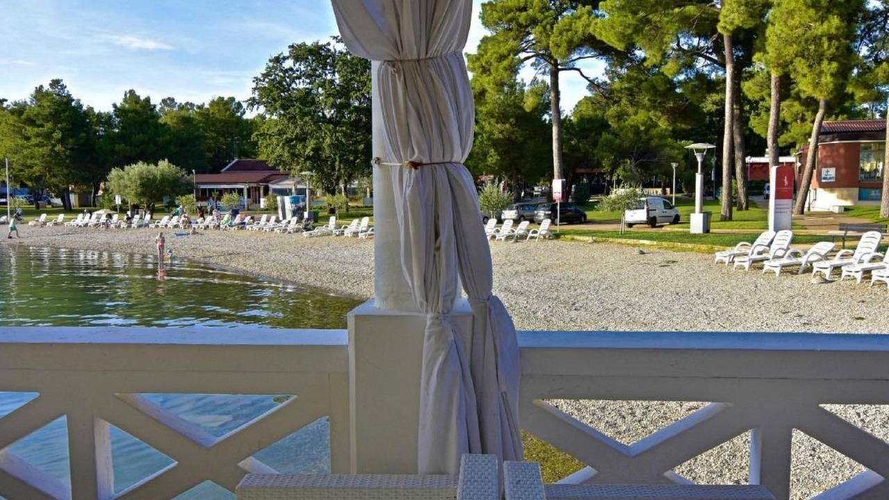 Photo of Outdoor in Murine