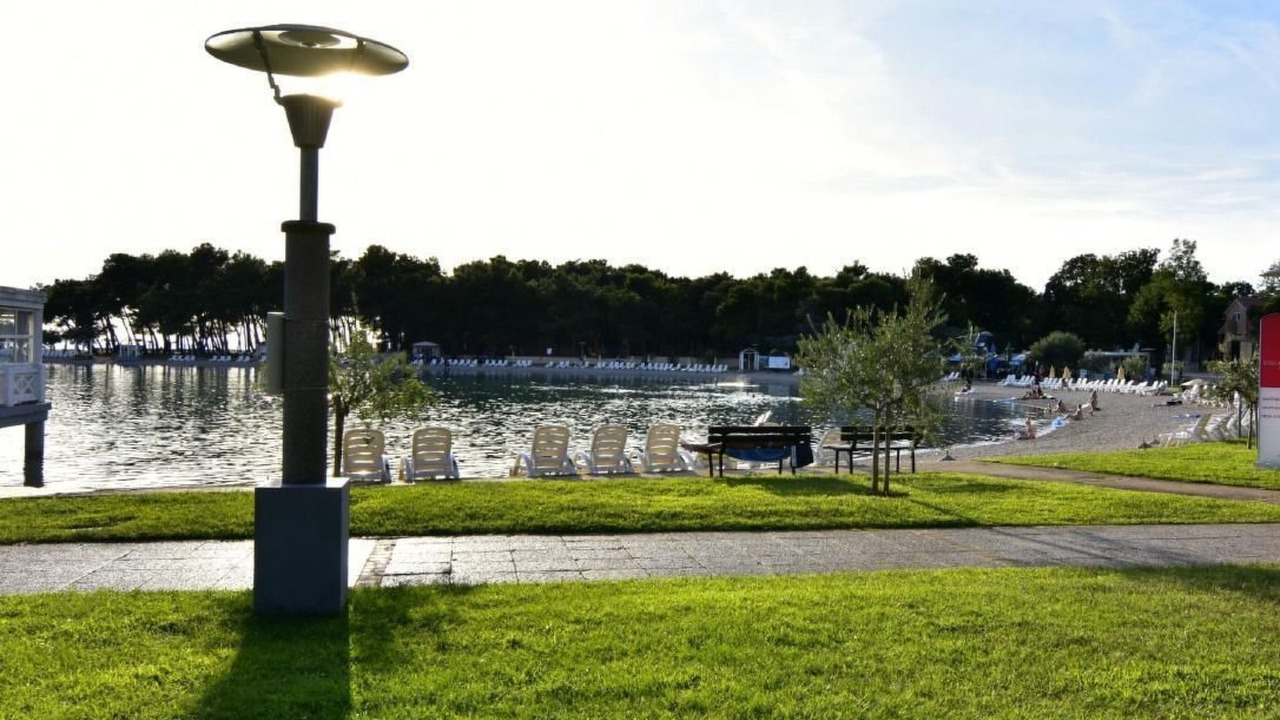 Photo of Outdoor in Murine