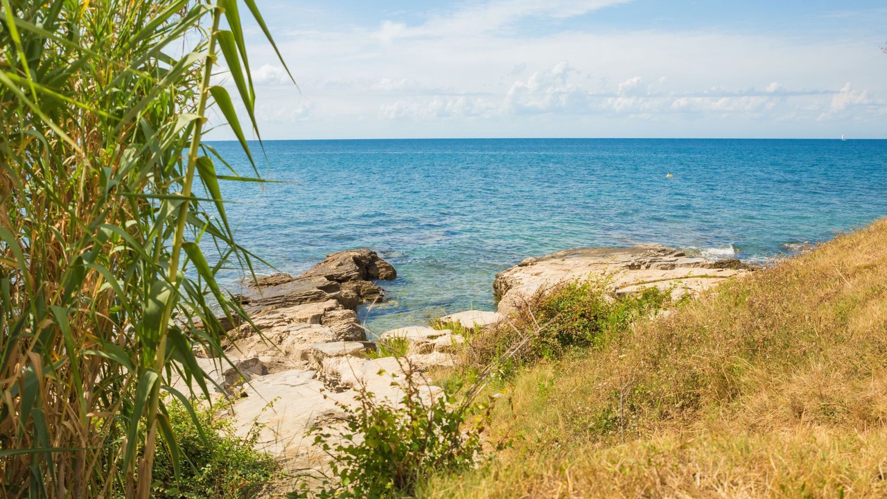 Photo of Others in Savudrija
