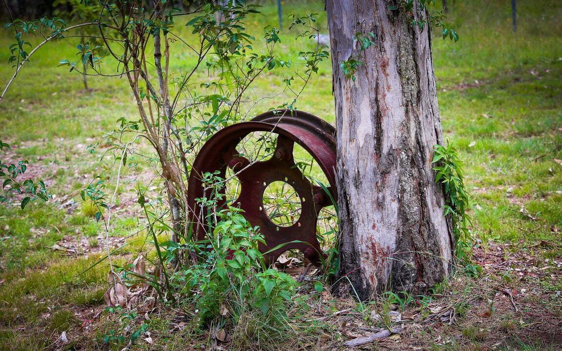 Photo of Others in Glan Devon