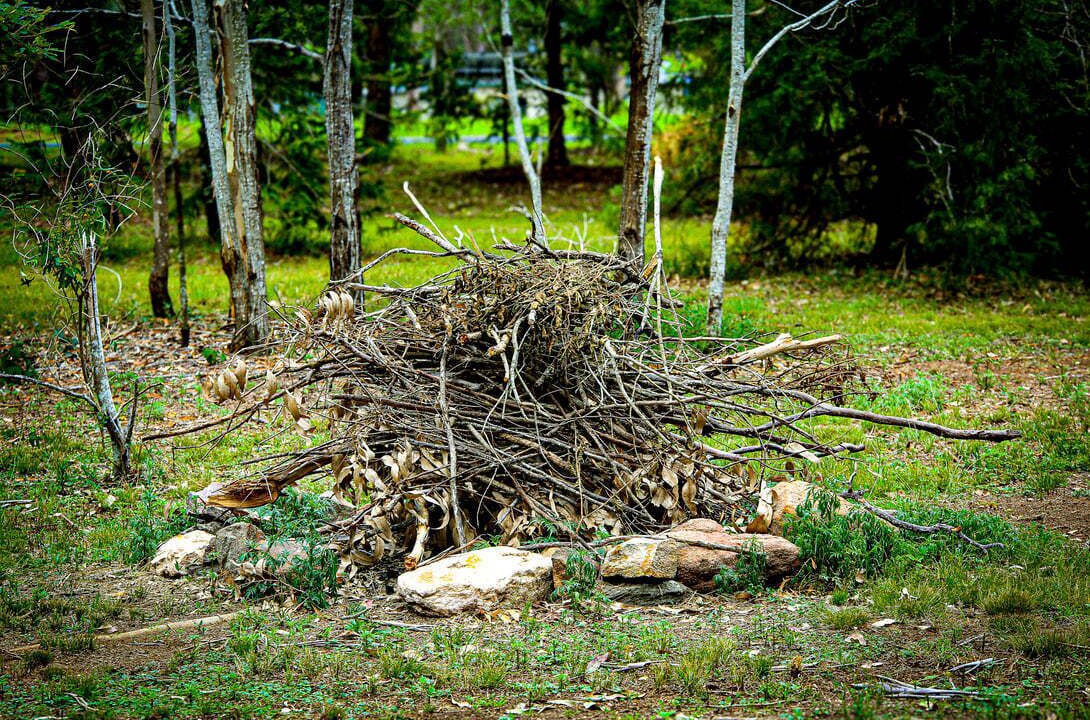 Photo of Others in Glan Devon