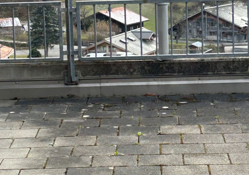 Photo of Patio Balcony in Hasliberg Reuti