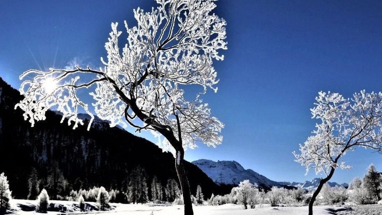 Photo of Others in La Punt-Chamues-ch