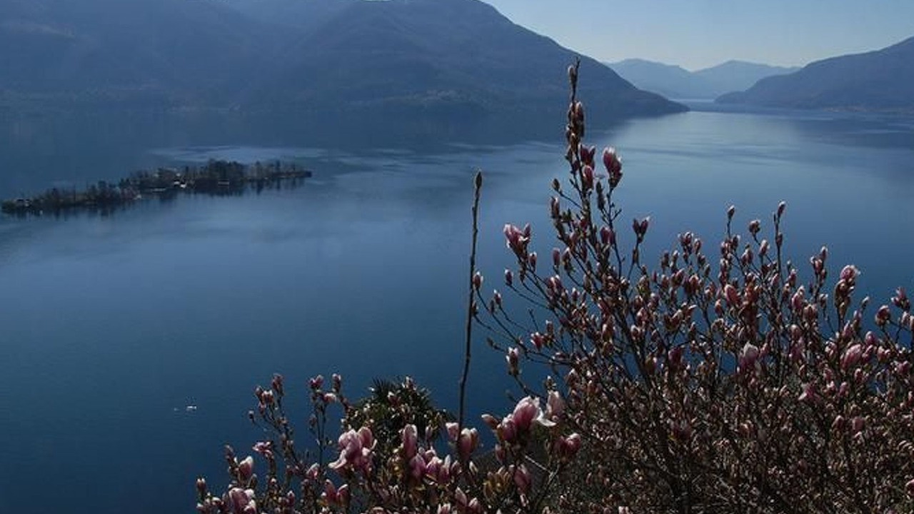 Photo of Others in Porto Ronco