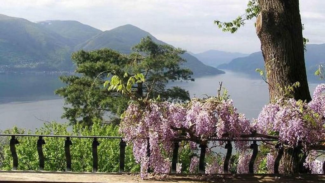 Photo of Others in Ronco sopra Ascona