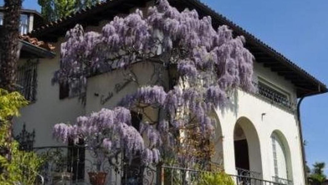 Photo of Others in Ronco sopra Ascona