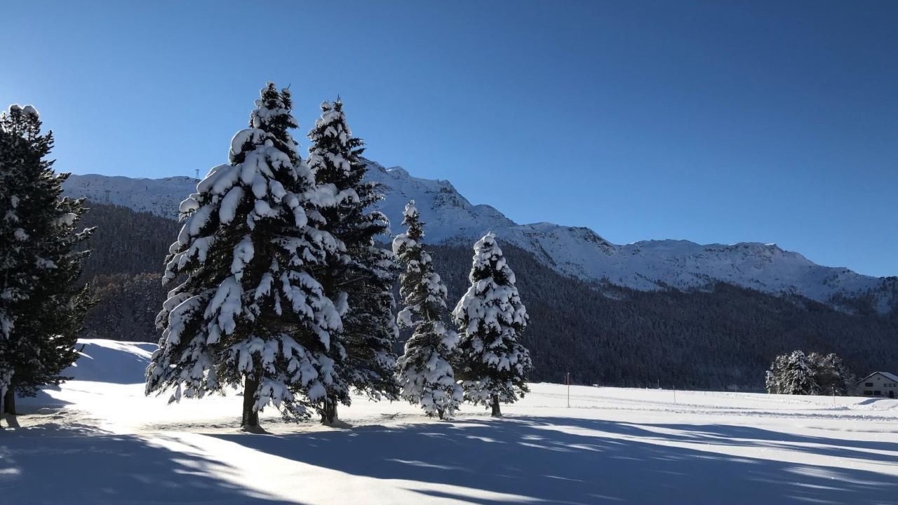 Photo of Others in La Punt-Chamues-ch