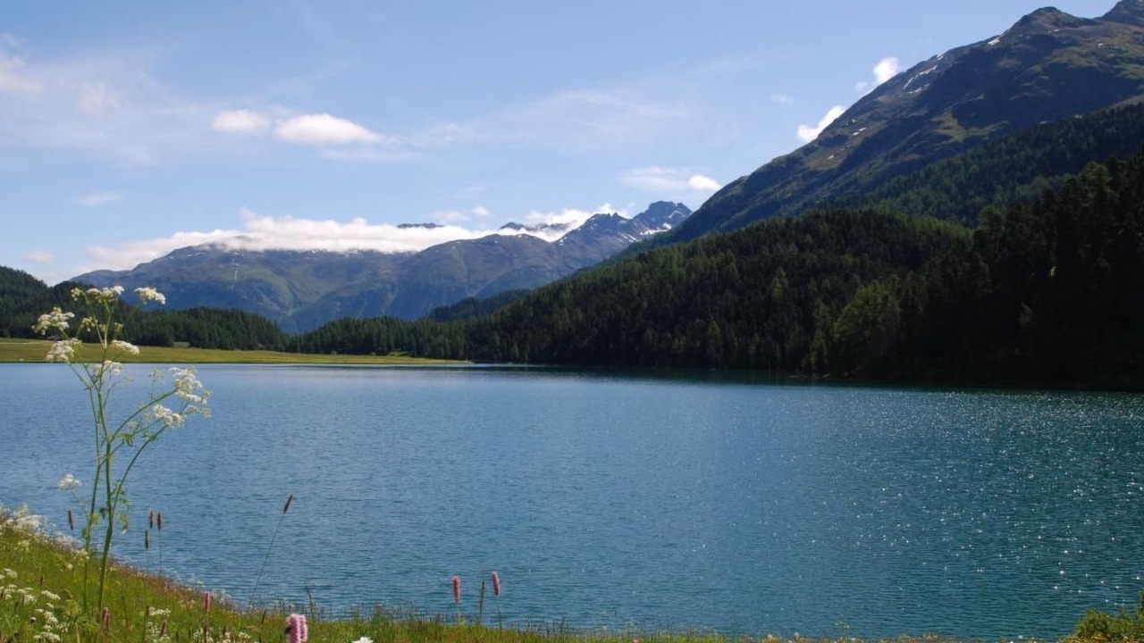 Photo of Others in La Punt-Chamues-ch