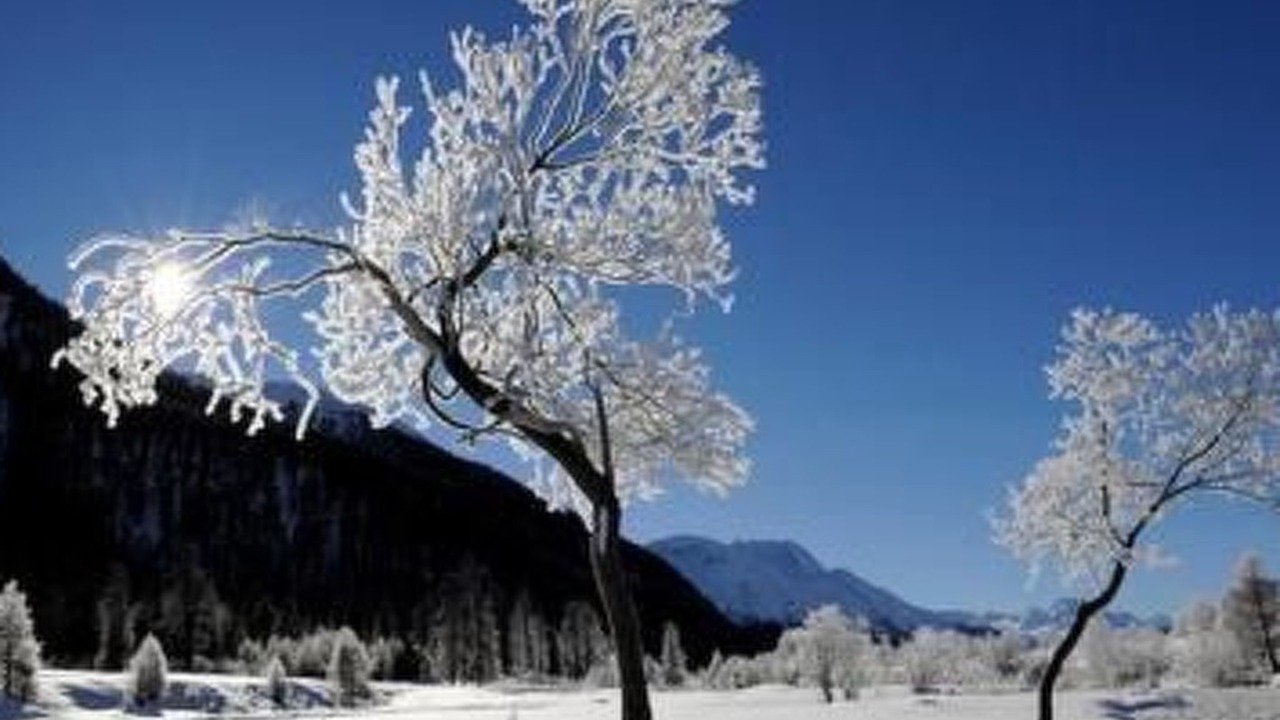 Photo of Others in La Punt-Chamues-ch