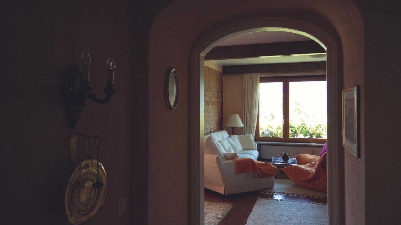 Photo of Livingroom in Minusio