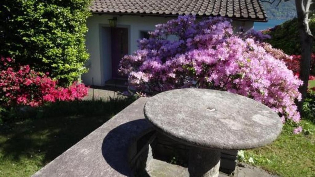 Photo of Outdoor in Minusio