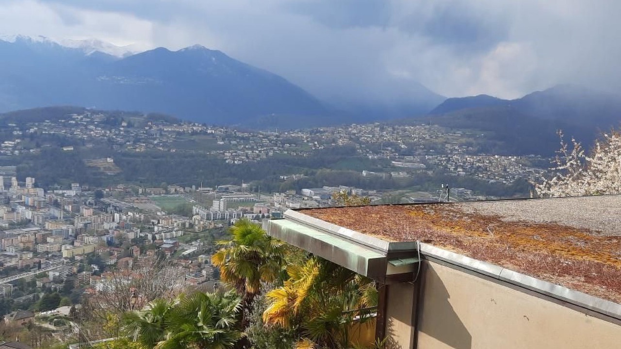 Photo of Others in Lugano