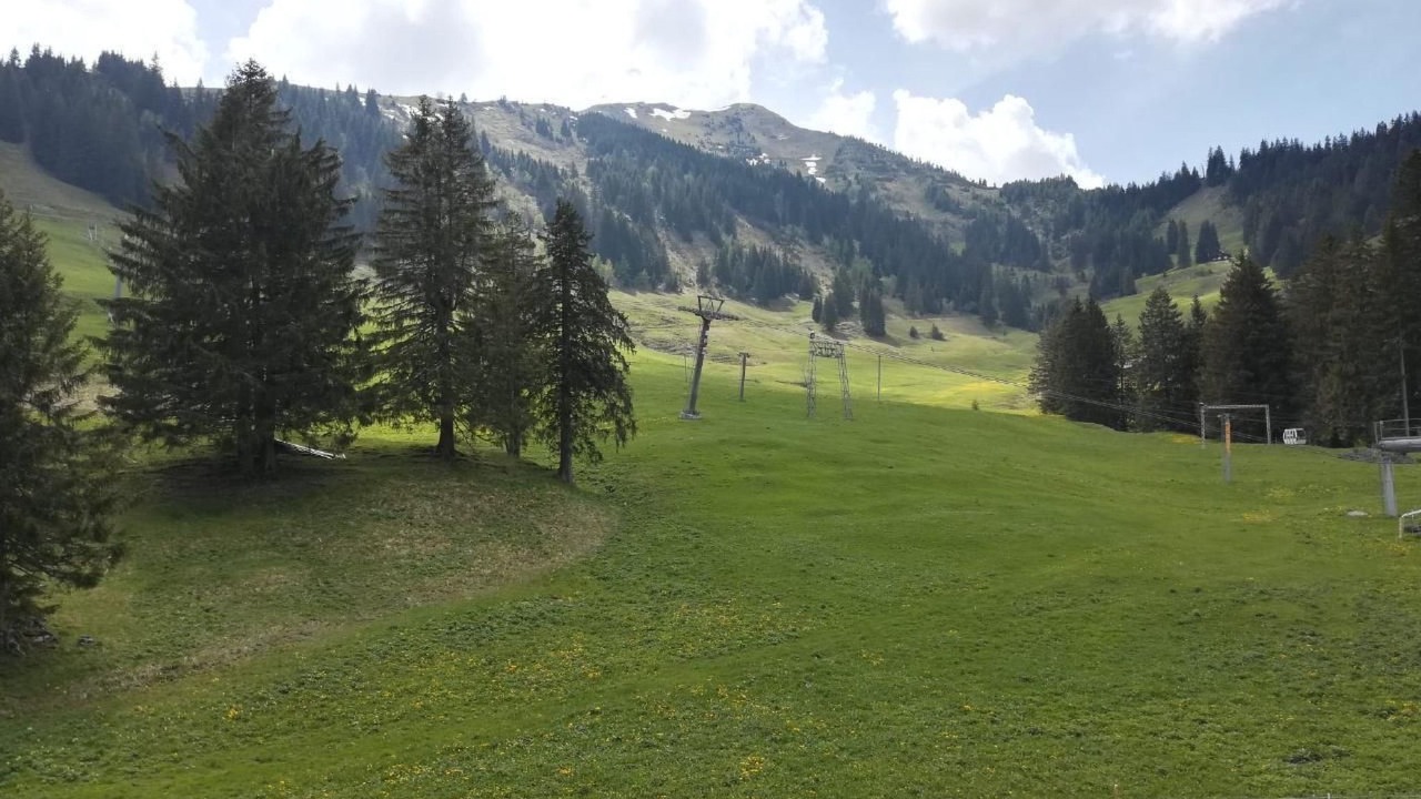 Photo of Others in Giswil