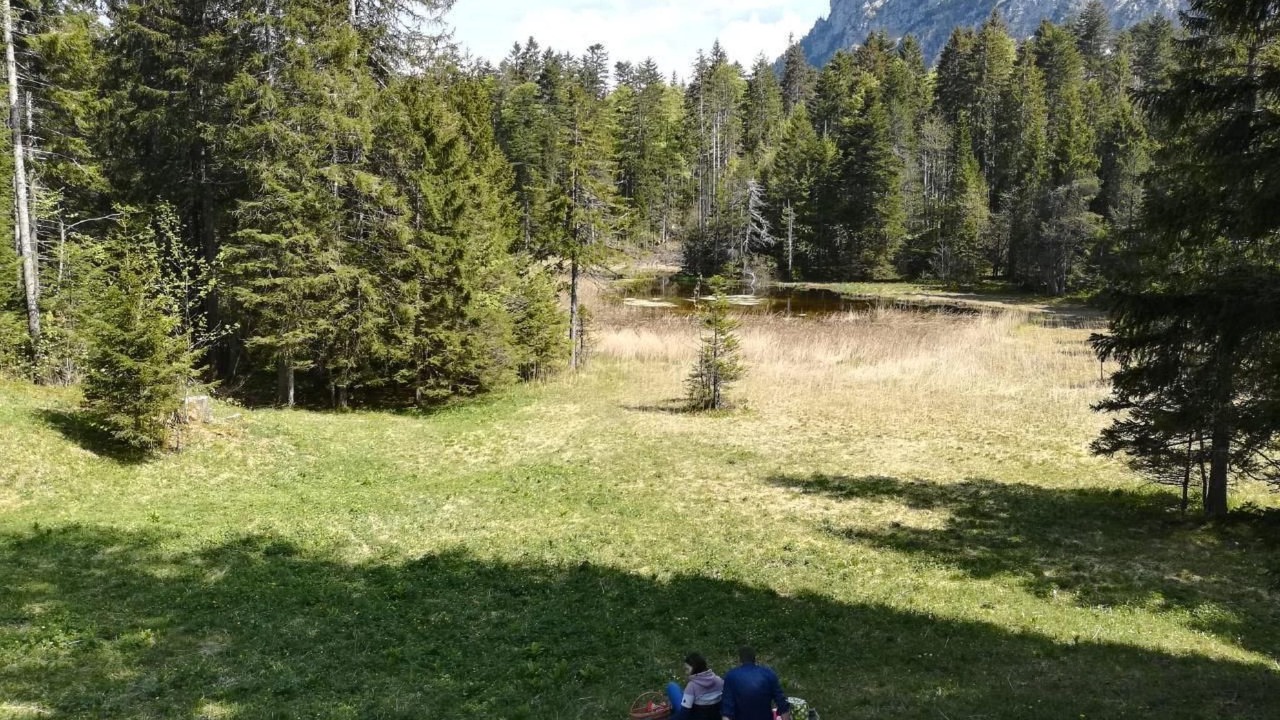 Photo of Others in Giswil