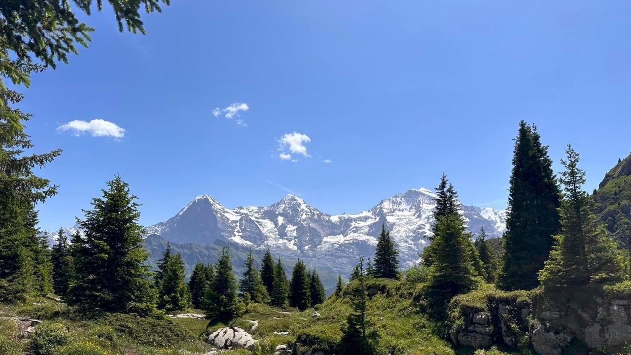 Photo of Others in Habkern