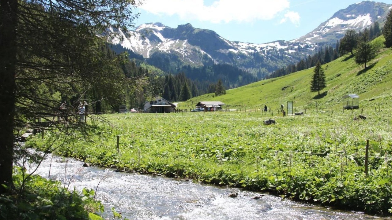 Photo of Others in Morgins