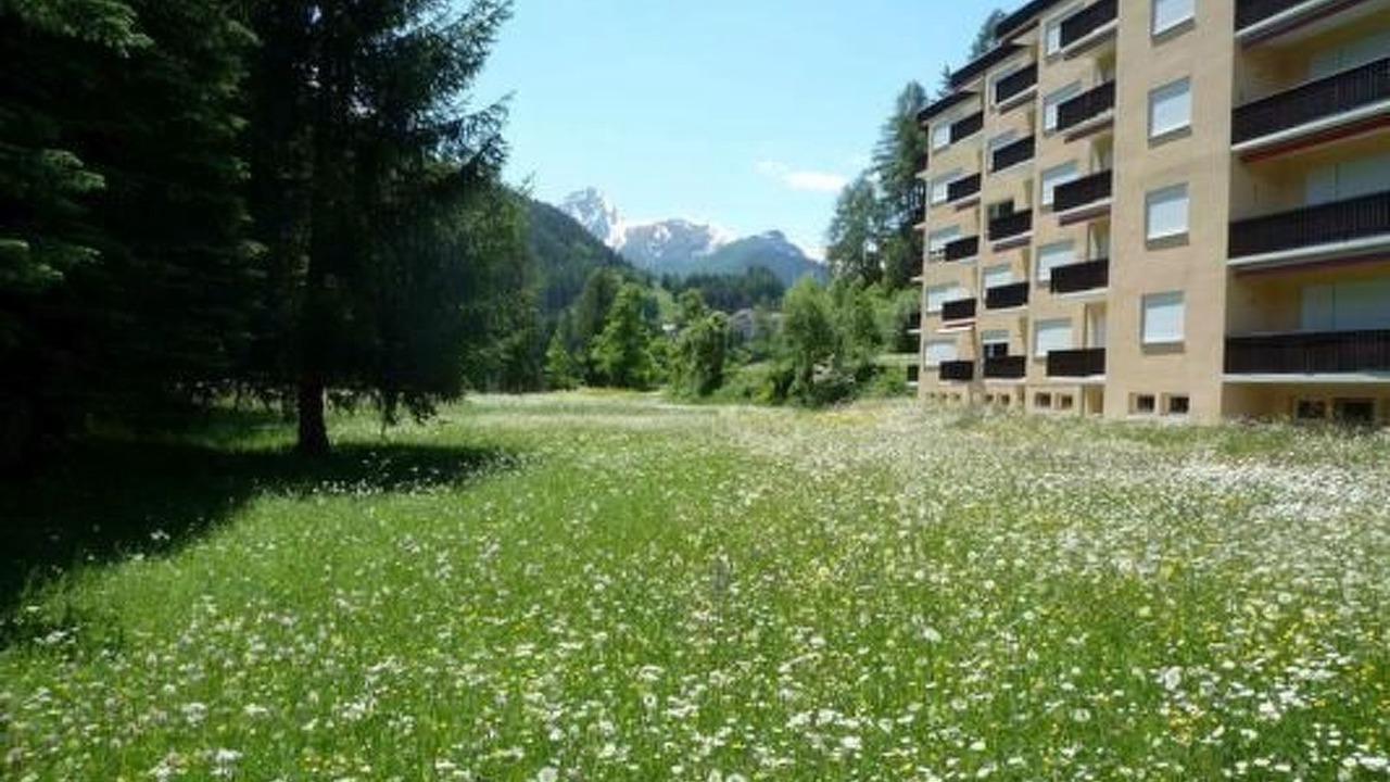 Photo of Outdoor in Engadin Scoul