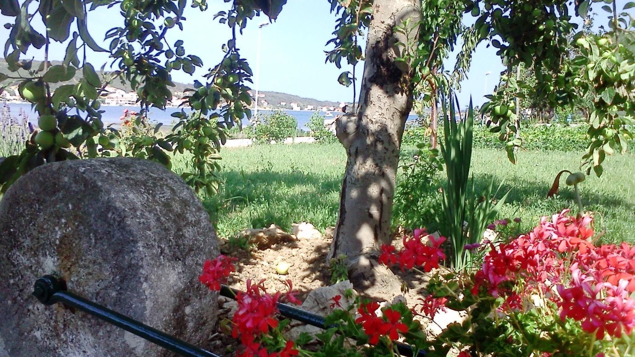 Photo of Outdoor in Rab Town