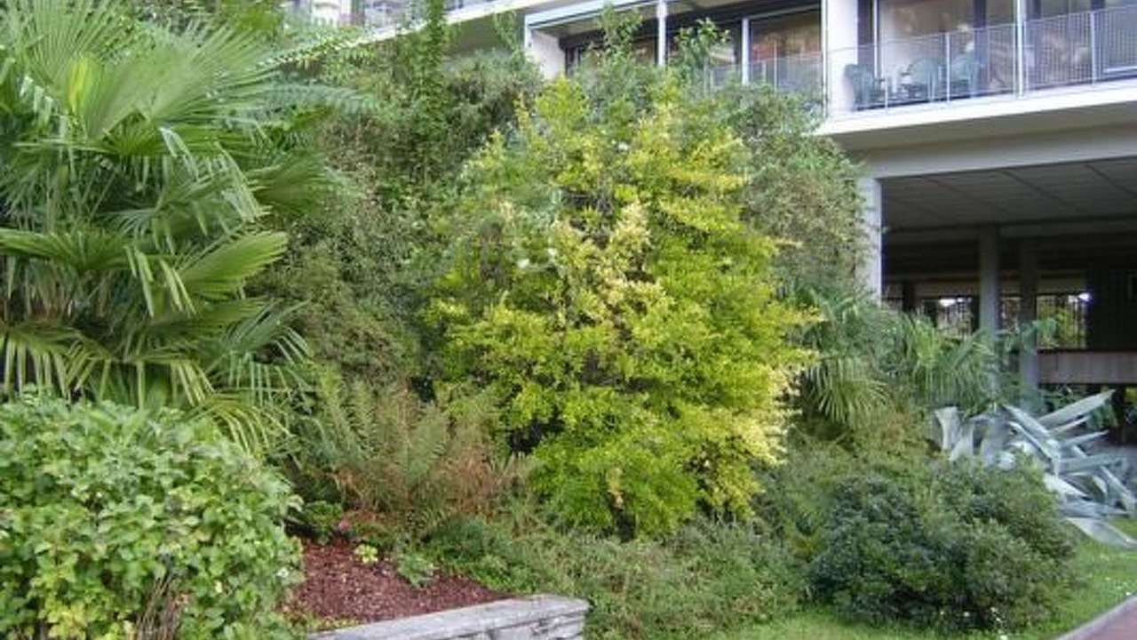 Photo of Outdoor in Muralto