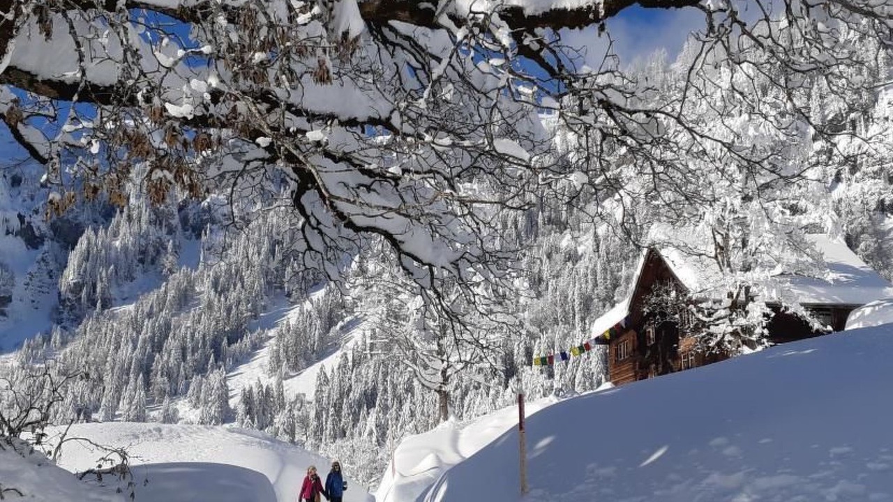 Photo of Others in Braunwald