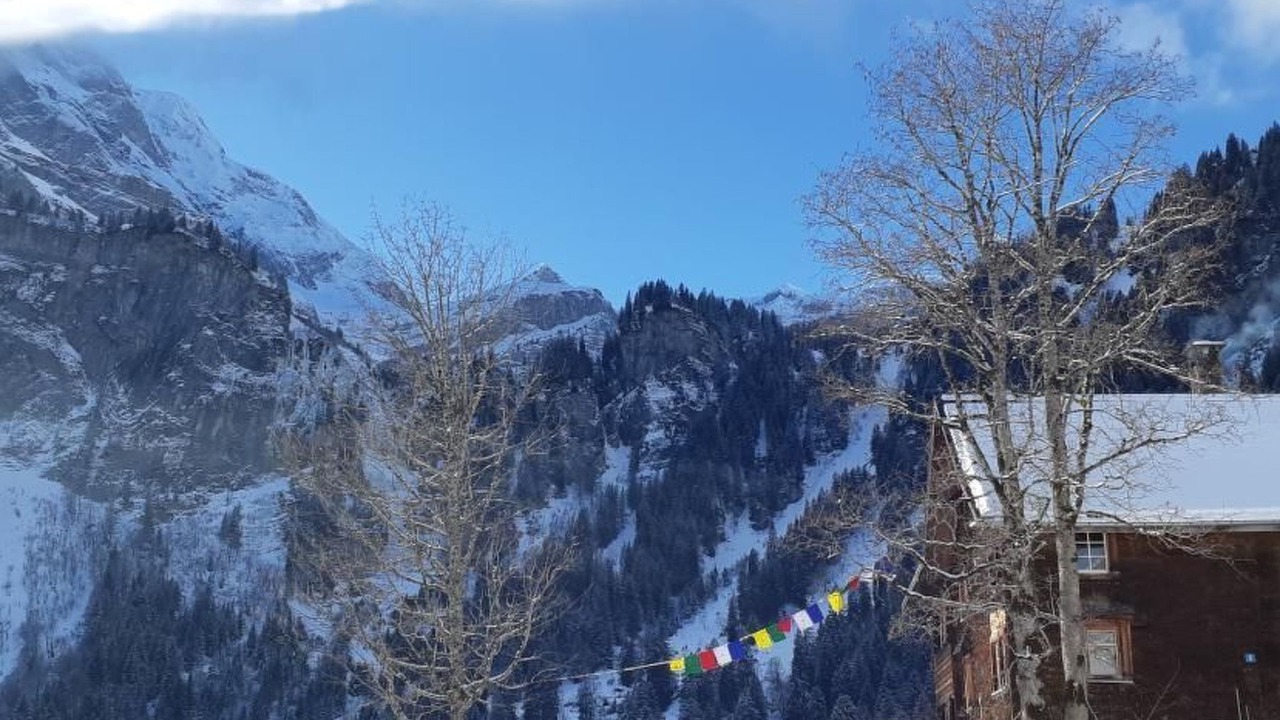 Photo of Others in Braunwald