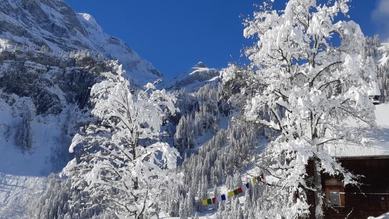 Photo of Others in Braunwald