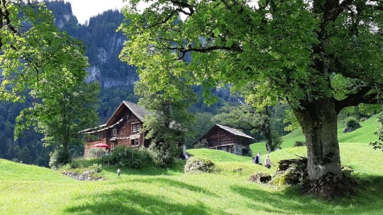 Photo of Others in Braunwald