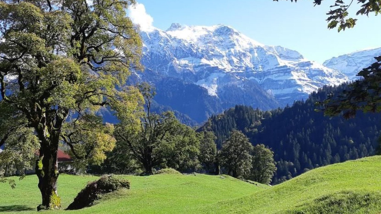 Photo of Others in Braunwald