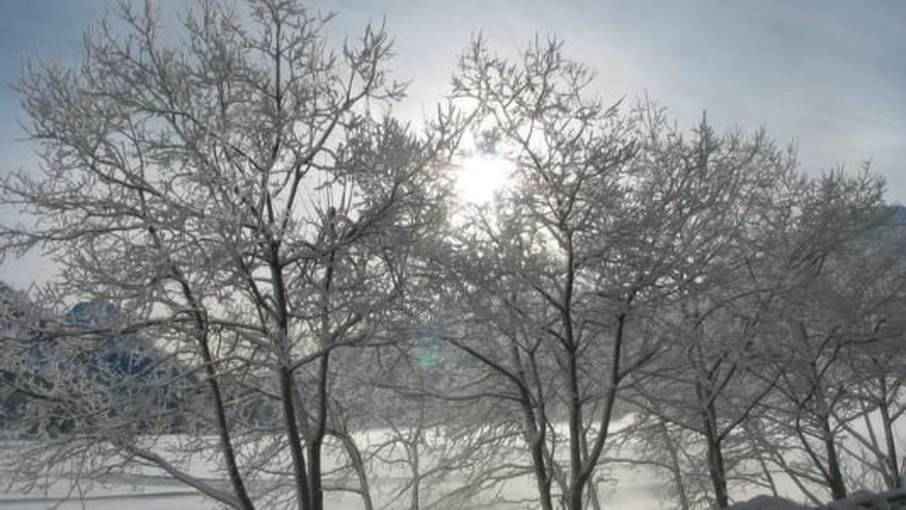 Photo of Others in Celerina-Schlarigna