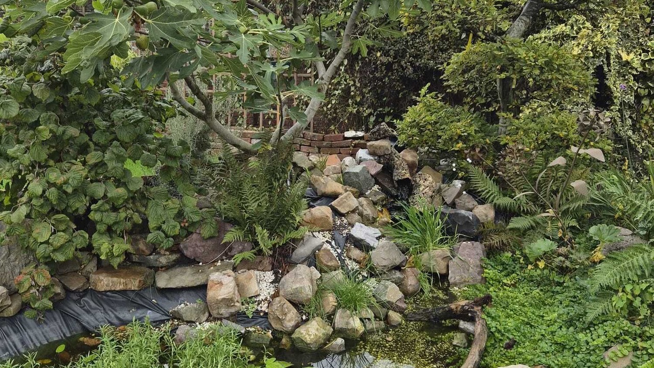 Photo of Outdoor in Crespin