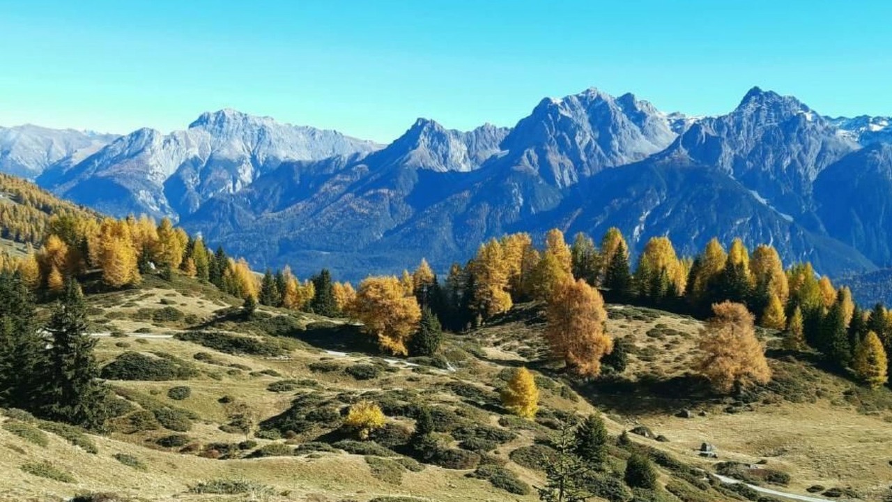 Photo of Others in Engadin Scoul