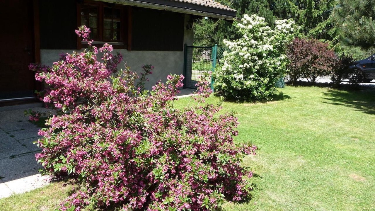 Photo of Outdoor in Saleinaz
