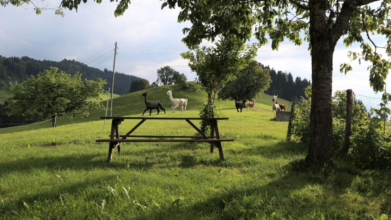 Photo of Others in Walde