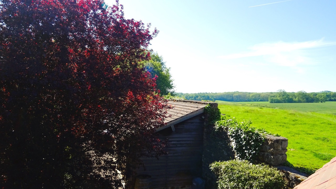 Photo of Outdoor in Fresnoy-le-Luat