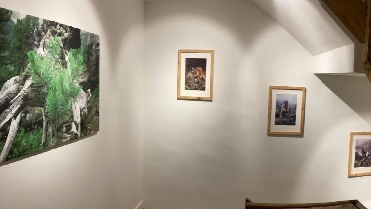 Photo of Others in S-chanf