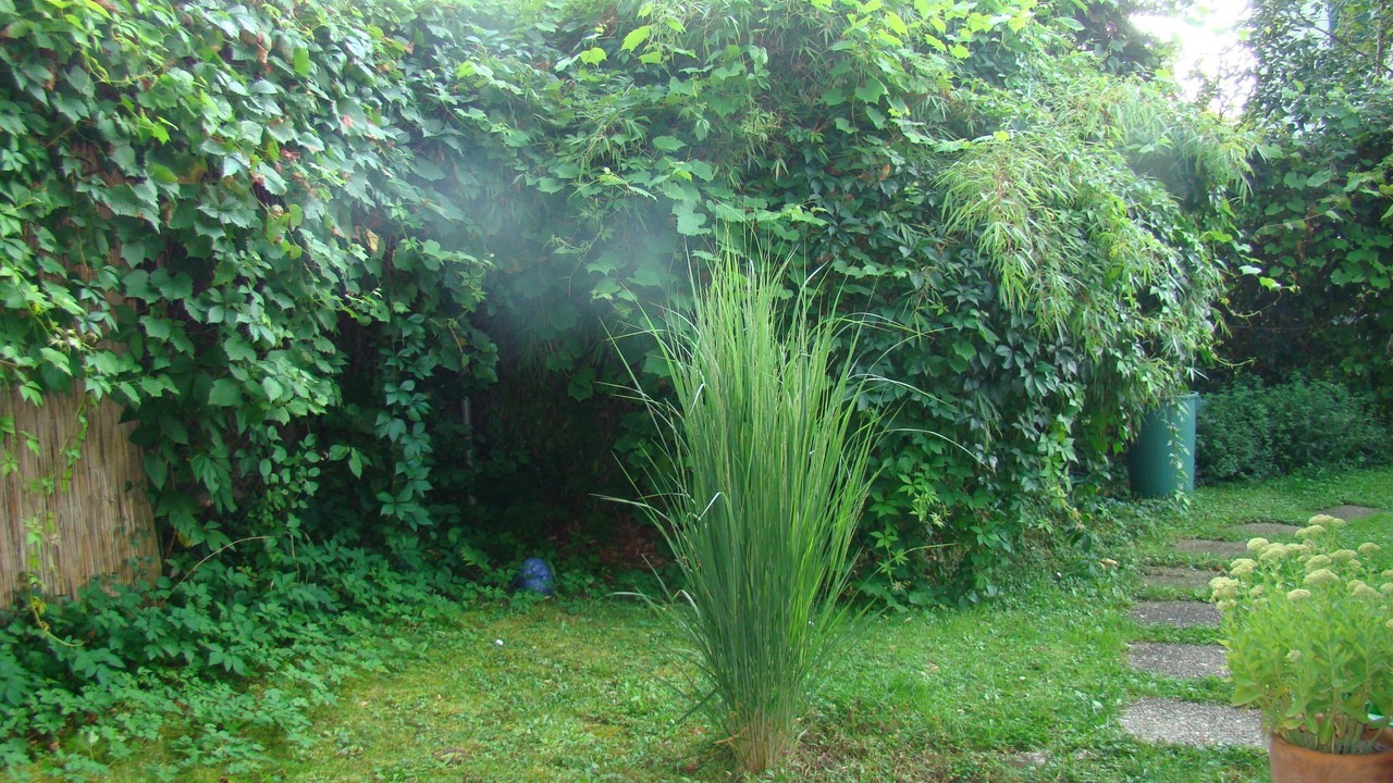 Photo of Outdoor in Steckborn