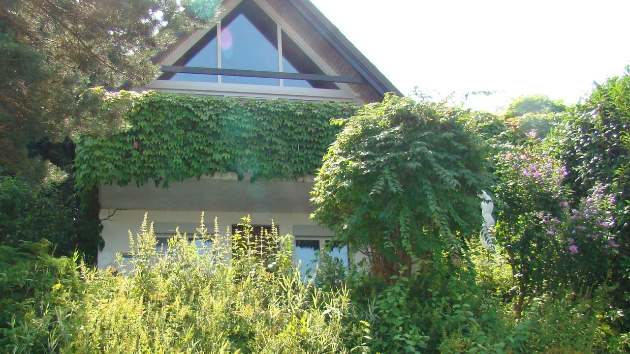 Photo of Outdoor in Steckborn