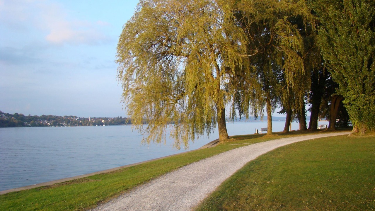 Photo of Others in Steckborn