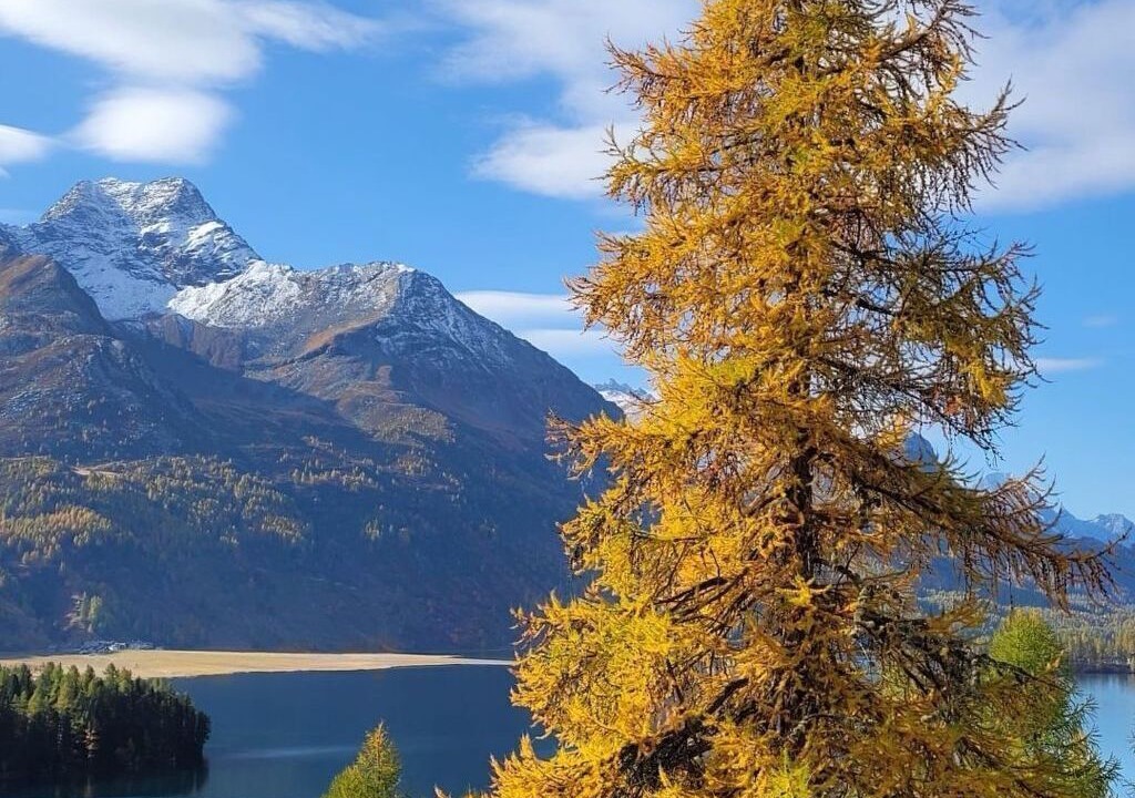 Photo of Others in Sils-Maria