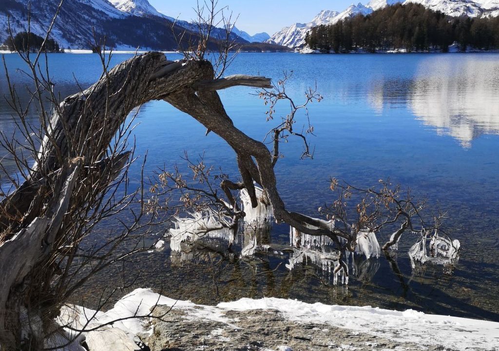 Photo of Others in Sils-Maria