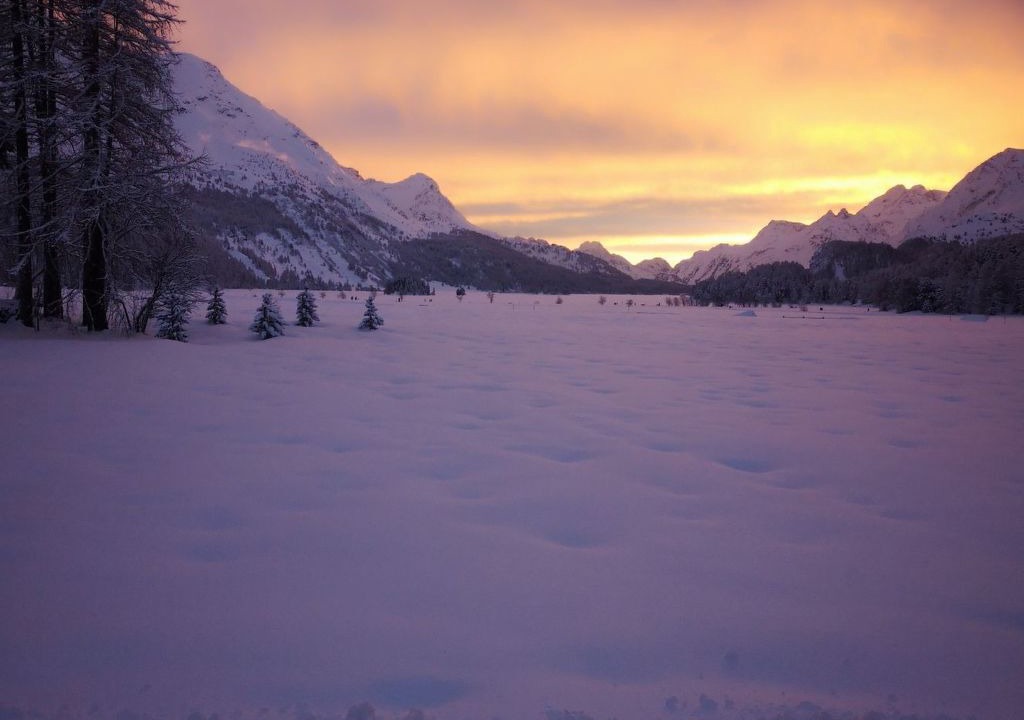 Photo of Others in Sils-Maria