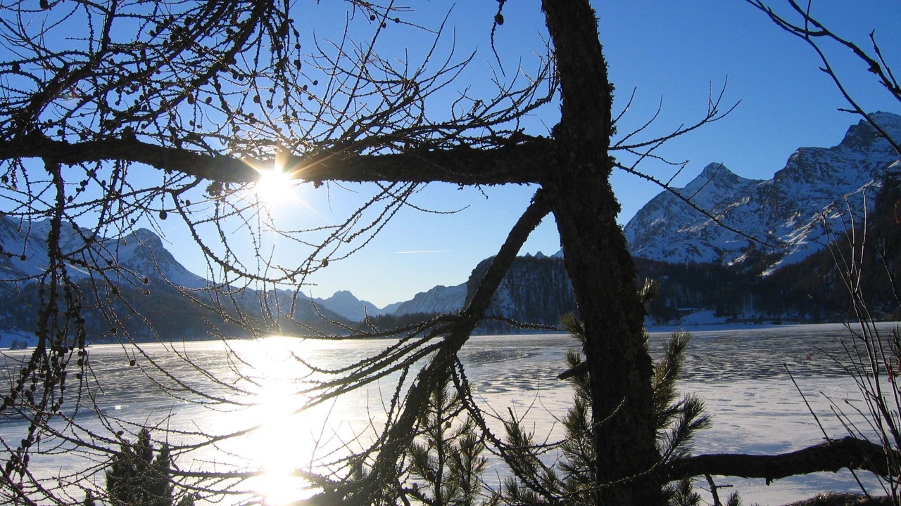 Photo of Others in Sils-Maria
