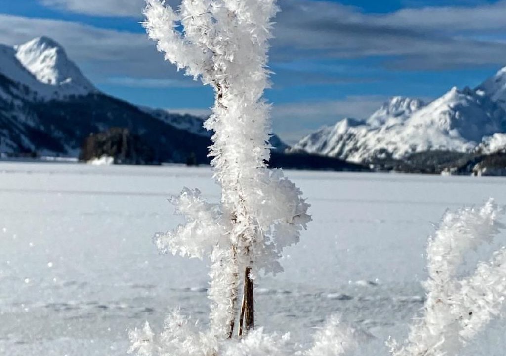 Photo of Others in Sils-Maria