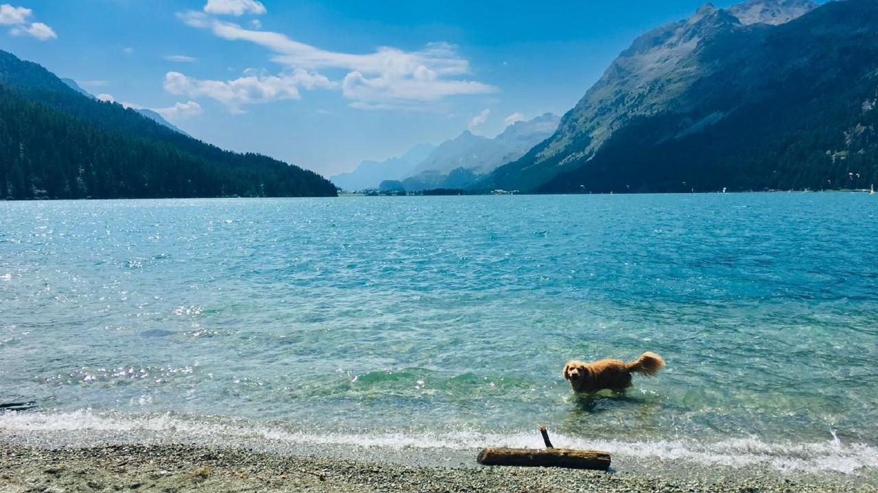Photo of Others in Sils-Maria