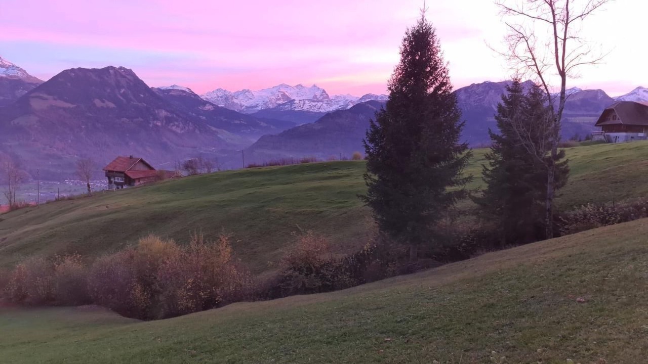 Photo of Others in Sarnen
