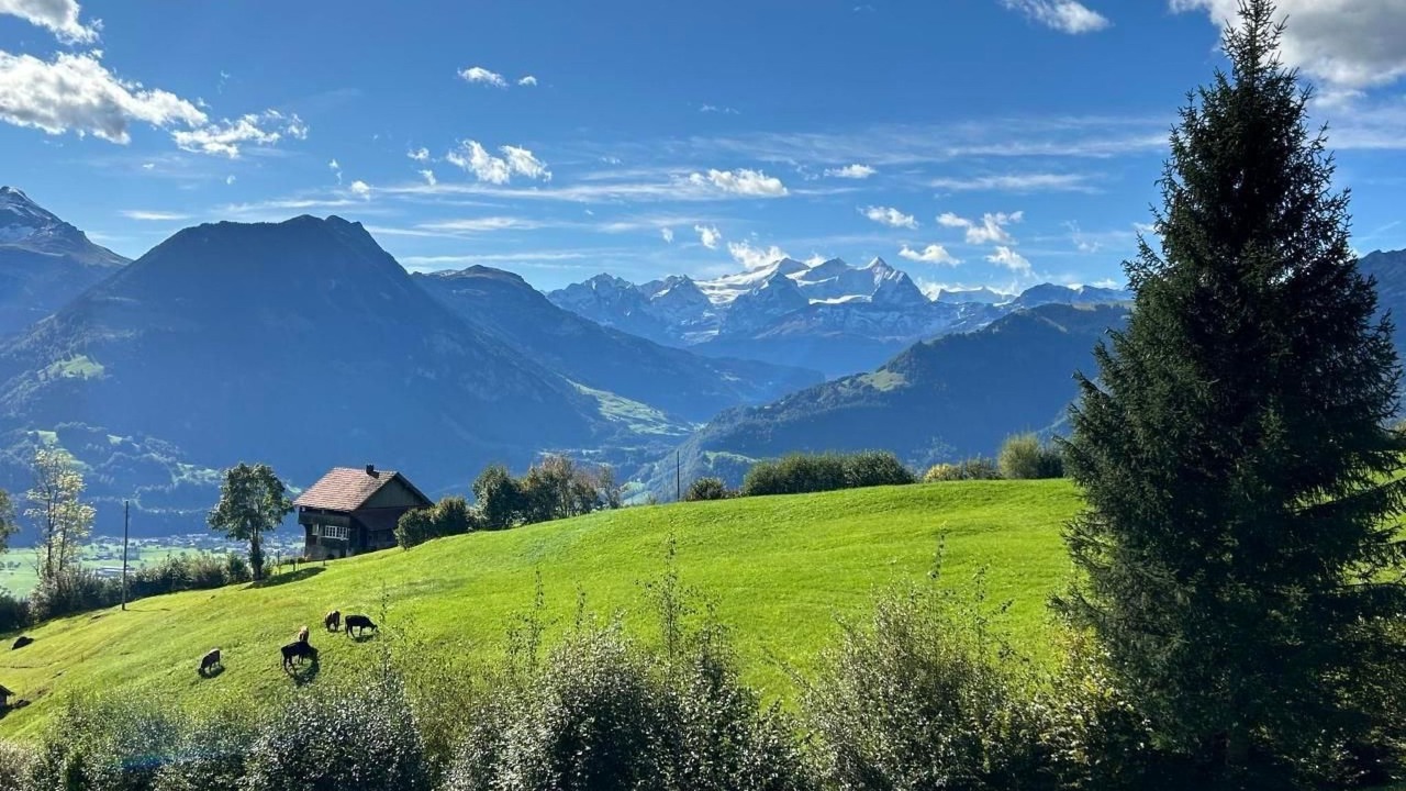 Photo of Others in Sarnen