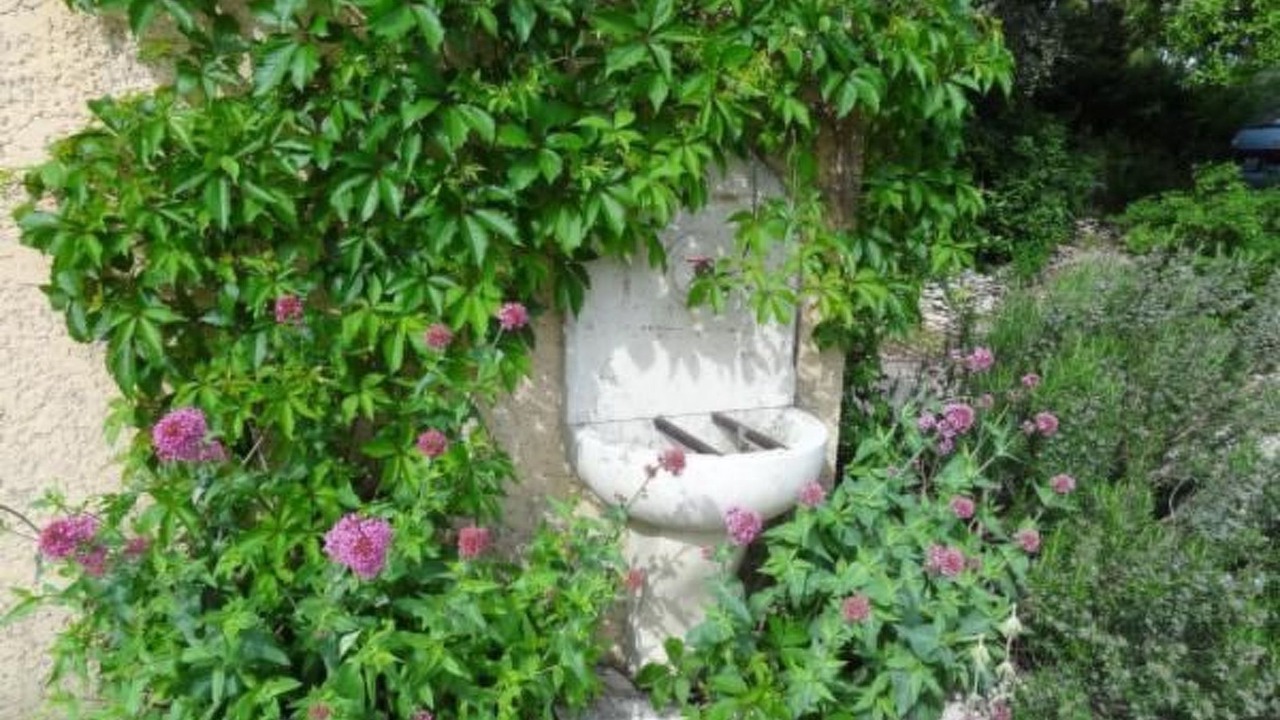 Photo of Others in Saint-Siffret