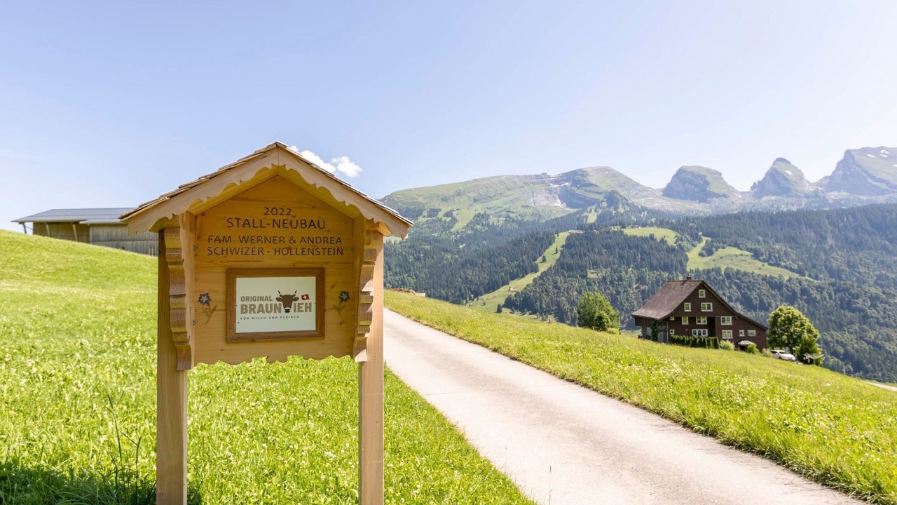 Photo of Others in Wildhaus-Alt St. Johann