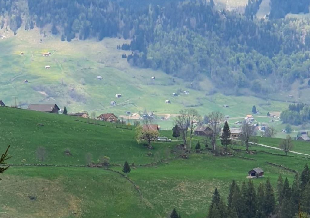 Photo of Others in Wildhaus