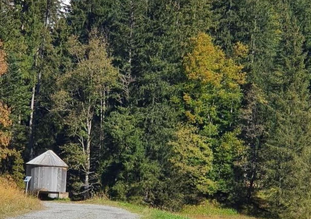 Photo of Others in Wildhaus